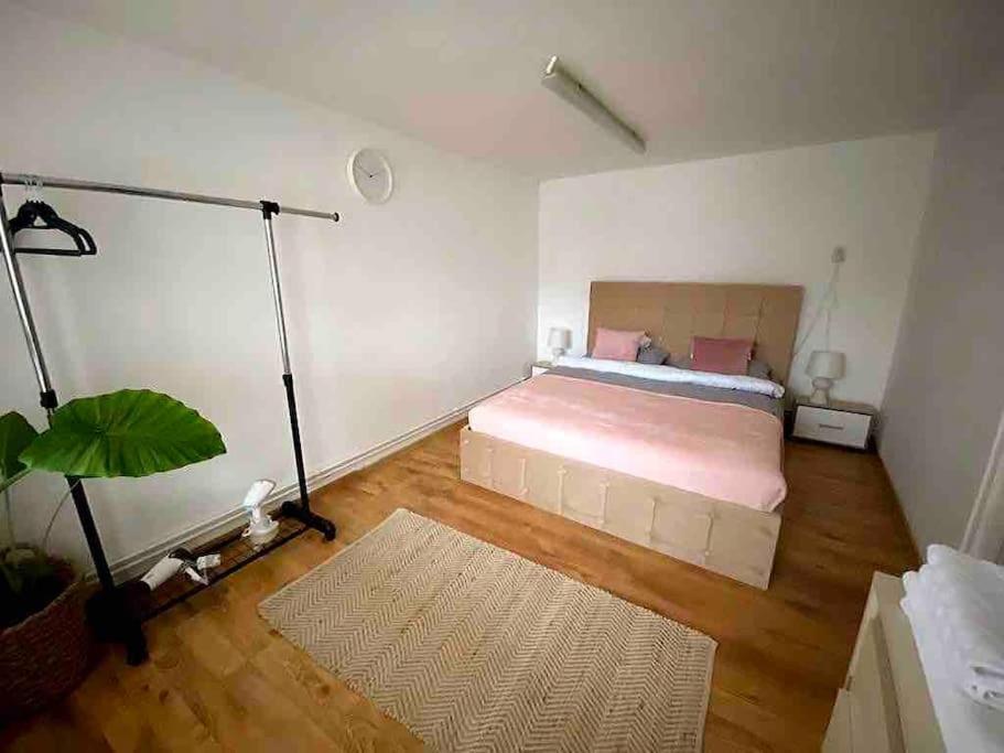 House Apartment In Timisoara Bagian luar foto